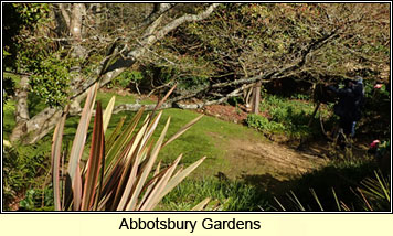 Abbotsbury gardens