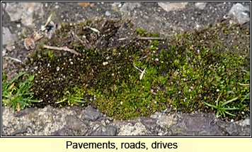 Pavements, roads and drives