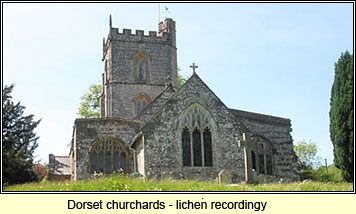Churchyard lichen recording, Dorset